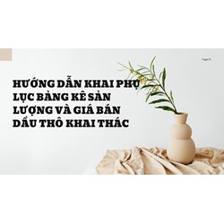 Hướng dẫn khai Phụ lục bảng kê sản lượng và giá bán dầu thô khai thác