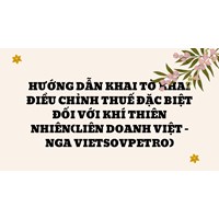 Hướng dẫn khai Tờ khai điều chỉnh thuế đặc biệt đối với khí thiên nhiên(Liên doanh Việt - Nga Vietsovpetro)