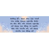 Hướng dẫn khai Phụ lục thuế thu nhập doanh nghiệp được ưu đãi đối với doanh nghiệp sử dụng lao động là người dân tộc thiểu số, sử dụng nhiều lao động nữ