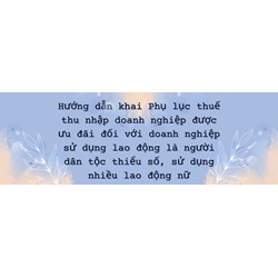 Hướng dẫn khai Phụ lục thuế thu nhập doanh nghiệp được ưu đãi đối với doanh nghiệp sử dụng lao động là người dân tộc thiểu số, sử dụng nhiều lao động nữ