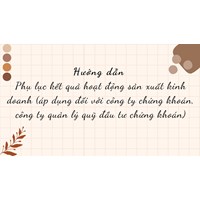 Hướng dẫn Phụ lục kết quả hoạt động sản xuất kinh doanh (áp dụng đối với công ty chứng khoán, công ty quản lý quỹ đầu tư chứng khoán)