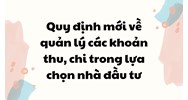 Quy định mới về quản lý các khoản thu, chi trong lựa chọn nhà đầu tư