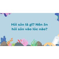 Hải sản là gì? Nên ăn hải sản vào lúc nào?
