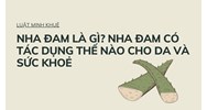 Nha đam là gì? Nha đam có tác dụng thế nào cho da và sức khoẻ