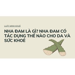 Nha đam là gì? Nha đam có tác dụng thế nào cho da và sức khoẻ