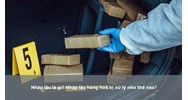 Nhập lậu là gì? Nhập lậu hàng hoá bị xử lý như thế nào?