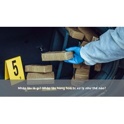 Nhập lậu là gì? Nhập lậu hàng hoá bị xử lý như thế nào?