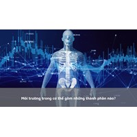 Môi trường trong cơ thể gồm những thành phần nào?