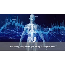 Môi trường trong cơ thể gồm những thành phần nào?