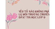 Yếu tố nào không phải là môi trường truyền dẫn? Tin học lớp 9