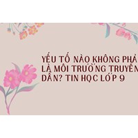 Yếu tố nào không phải là môi trường truyền dẫn? Tin học lớp 9