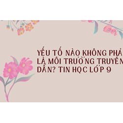 Yếu tố nào không phải là môi trường truyền dẫn? Tin học lớp 9