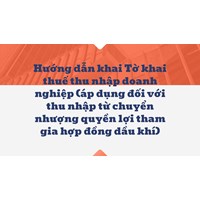 Hướng dẫn khai Tờ khai thuế thu nhập doanh nghiệp (áp dụng đối với thu nhập từ chuyển nhượng quyền lợi tham gia hợp đồng dầu khí)