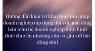 Hướng dẫn khai Tờ khai thuế thu nhập doanh nghiệp (áp dụng đối với hoạt động bán toàn bộ doanh nghiệp dưới hình thức chuyển nhượng vốn có gắn với bất động sản)