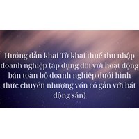 Hướng dẫn khai Tờ khai thuế thu nhập doanh nghiệp (áp dụng đối với hoạt động bán toàn bộ doanh nghiệp dưới hình thức chuyển nhượng vốn có gắn với bất động sản)