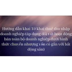 Hướng dẫn khai Tờ khai thuế thu nhập doanh nghiệp (áp dụng đối với hoạt động bán toàn bộ doanh nghiệp dưới hình thức chuyển nhượng vốn có gắn với bất động sản)