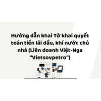 Hướng dẫn khai Tờ khai quyết toán tiền lãi dầu, khí nước chủ nhà (Liên doanh Việt-Nga “Vietsovpetro”)