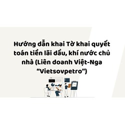 Hướng dẫn khai Tờ khai quyết toán tiền lãi dầu, khí nước chủ nhà (Liên doanh Việt-Nga “Vietsovpetro”)