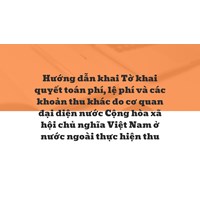 Hướng dẫn khai Tờ khai quyết toán phí, lệ phí và các khoản thu khác do cơ quan đại diện nước Cộng hòa xã hội chủ nghĩa Việt Nam ở nước ngoài thực hiện thu
