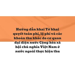 Hướng dẫn khai Tờ khai quyết toán phí, lệ phí và các khoản thu khác do cơ quan đại diện nước Cộng hòa xã hội chủ nghĩa Việt Nam ở nước ngoài thực hiện thu