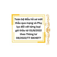 Mẫu hồ sơ mời thầu qua mạng và phụ lục từng loại gói thầu