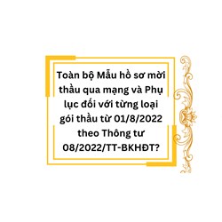 Mẫu hồ sơ mời thầu qua mạng và phụ lục từng loại gói thầu