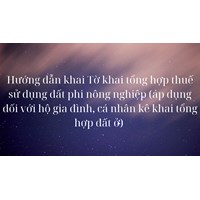 Hướng dẫn khai Tờ khai tổng hợp thuế sử dụng đất phi nông nghiệp (áp dụng đối với hộ gia đình, cá nhân kê khai tổng hợp đất ở)