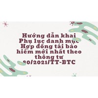 Hướng dẫn khai Phụ lục danh mục Hợp đồng tái bảo hiểm mới nhất theo thông tư 80/2021/TT-BTC