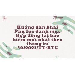 Hướng dẫn khai Phụ lục danh mục Hợp đồng tái bảo hiểm mới nhất theo thông tư 80/2021/TT-BTC