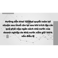 Hướng dẫn khai Tờ khai quyết toán lợi nhuận sau thuế còn lại sau khi trích lập các quỹ phải nộp ngân sách nhà nước của doanh nghiệp do Nhà nước nắm giữ 100% vốn điều lệ