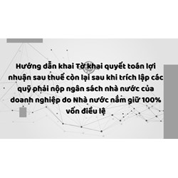 Hướng dẫn khai Tờ khai quyết toán lợi nhuận sau thuế còn lại sau khi trích lập các quỹ phải nộp ngân sách nhà nước của doanh nghiệp do Nhà nước nắm giữ 100% vốn điều lệ