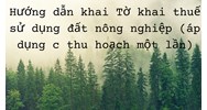 Hướng dẫn khai Tờ khai thuế sử dụng đất nông nghiệp (áp dụng đối với đất trồng cây lâu năm thu hoạch một lần)