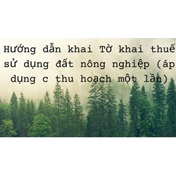Hướng dẫn khai Tờ khai thuế sử dụng đất nông nghiệp (áp dụng đối với đất trồng cây lâu năm thu hoạch một lần)
