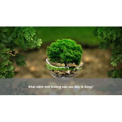 Khái niệm môi trường nào sau đây là đúng?