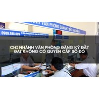 Chi nhánh Văn phòng đăng ký đất đai không có quyền cấp sổ đỏ
