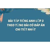 Bài tập tiếng Anh lớp 3 theo từng bài có đáp án chi tiết nhất