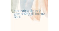 Môi trường lập trình gồm những gì? Tin học lớp 8