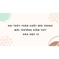 Khi thuỷ phân chất béo trong môi trường kiềm thì? Hoá học 12
