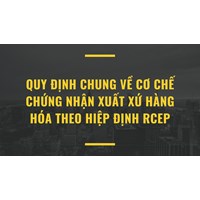 Quy định chung về cơ chế chứng nhận xuất xứ hàng hóa theo Hiệp định RCEP