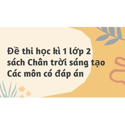 Đề thi học kì 1 lớp 2 sách Chân trời sáng tạo Các môn có đáp án
