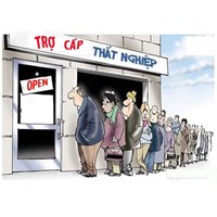 Sai số CCCD trong sổ BHXH hưởng trợ cấp thất nghiệp thế nào?