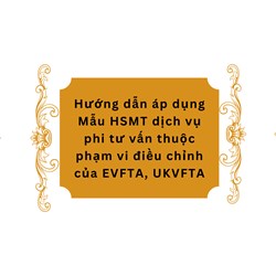 Hướng dẫn áp dụng Mẫu HSMT dịch vụ phi tư vấn thuộc phạm vi điều chỉnh của EVFTA, UKVFTA