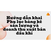 Hướng dẫn khai Phụ lục bảng kê sản lượng và doanh thu xuất bán dầu khí