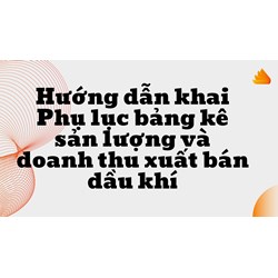 Hướng dẫn khai Phụ lục bảng kê sản lượng và doanh thu xuất bán dầu khí