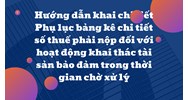Hướng dẫn khai chi tiết Phụ lục bảng kê chi tiết số thuế phải nộp đối với hoạt động khai thác tài sản bảo đảm trong thời gian chờ xử lý