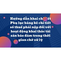 Hướng dẫn khai chi tiết Phụ lục bảng kê chi tiết số thuế phải nộp đối với hoạt động khai thác tài sản bảo đảm trong thời gian chờ xử lý
