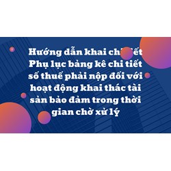 Hướng dẫn khai chi tiết Phụ lục bảng kê chi tiết số thuế phải nộp đối với hoạt động khai thác tài sản bảo đảm trong thời gian chờ xử lý