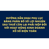Hướng dẫn khai Phụ lục bảng phân bổ số lợi nhuận sau thuế còn lại phải nộp đối với hoạt động kinh doanh xổ số điện toán