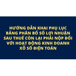 Hướng dẫn khai Phụ lục bảng phân bổ số lợi nhuận sau thuế còn lại phải nộp đối với hoạt động kinh doanh xổ số điện toán