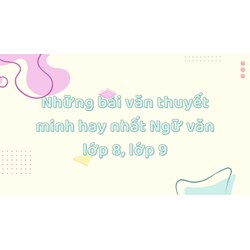 Những bài văn thuyết minh hay nhất Ngữ văn lớp 8, lớp 9